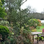 Le Jardin Sauvage Maintenay