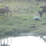 Le Jardin Sauvage 3*