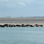 Le Jardin Sauvage Alojamento de Acomodação e Pequeno-almoço Maintenay