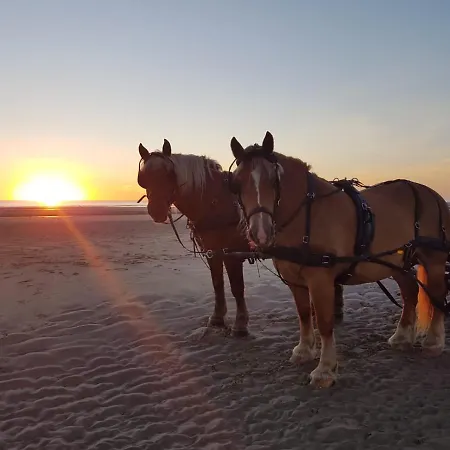 Le Jardin Sauvage Bed & Breakfast 3*