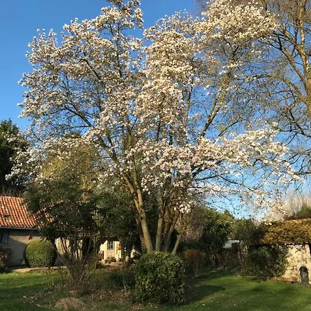 Bed & Breakfast Le Jardin Sauvage 3*