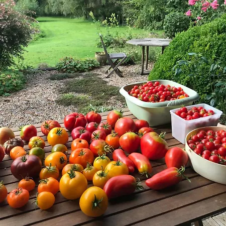 Le Jardin Sauvage Bed & Breakfast *