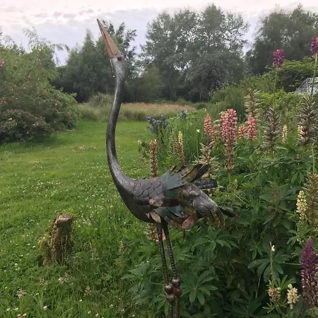 Le Jardin Sauvage Maintenay