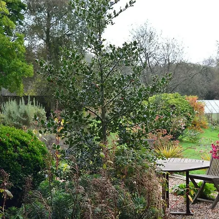 Le Jardin Sauvage Maintenay