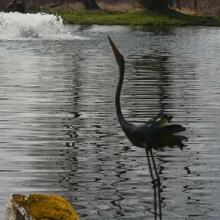 Bed & Breakfast Le Jardin Sauvage