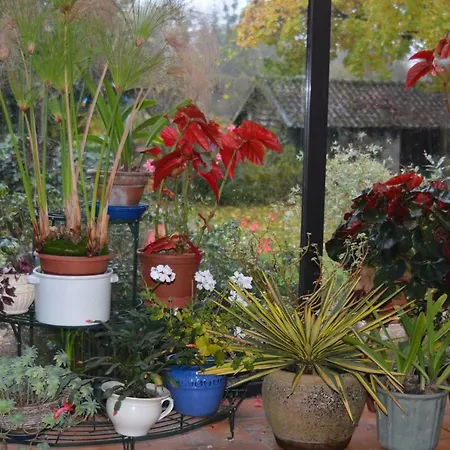 Le Jardin Sauvage 3* Maintenay