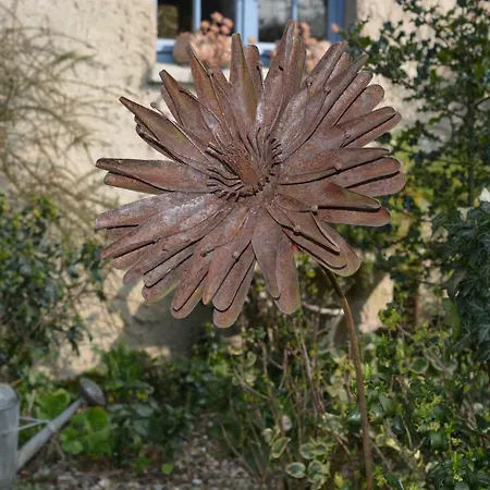 Le Jardin Sauvage * Maintenay