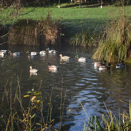 Le Jardin Sauvage Bed & Breakfast Maintenay