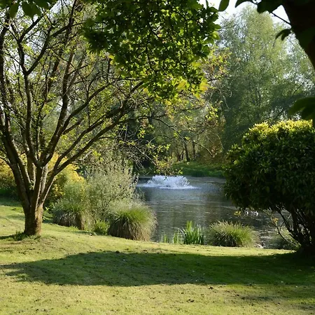 Le Jardin Sauvage Bed and breakfast Maintenay