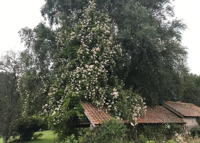 Le Jardin Sauvage 3*