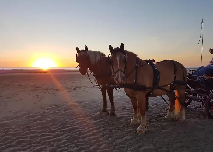 Le Jardin Sauvage Bed & Breakfast 3*