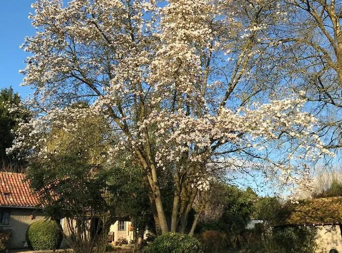 Bed & Breakfast Le Jardin Sauvage 3*