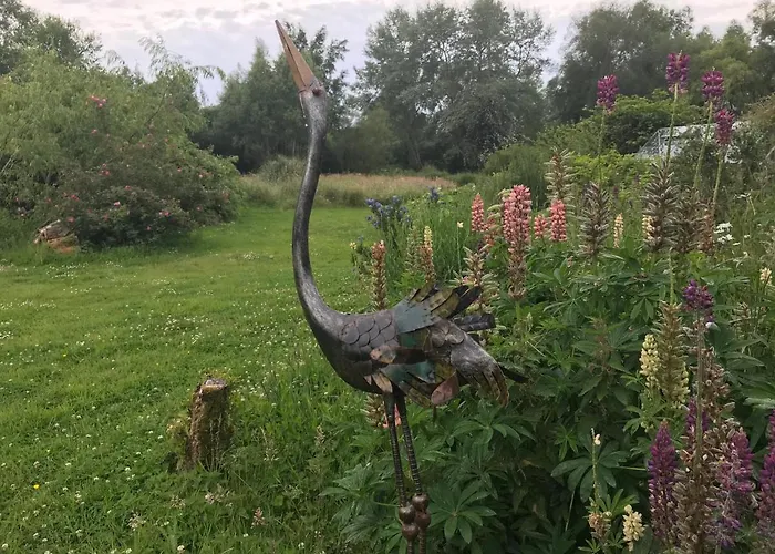 Le Jardin Sauvage Maintenay