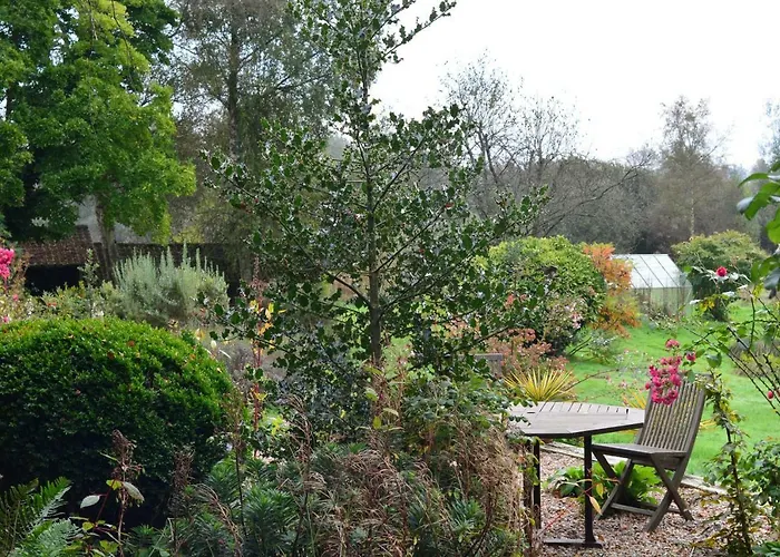 Le Jardin Sauvage Maintenay