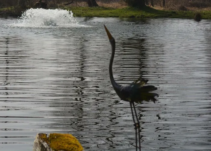 Bed & Breakfast Le Jardin Sauvage