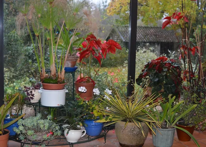 Le Jardin Sauvage 3* Maintenay