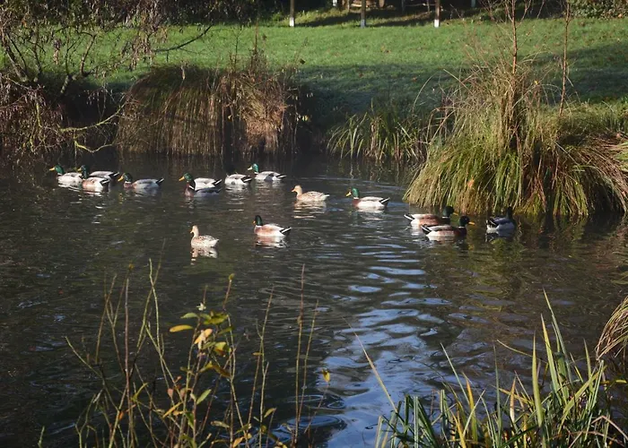 Le Jardin Sauvage Bed & Breakfast Maintenay