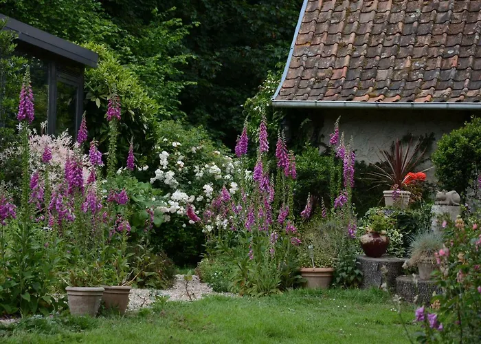 Bed & Breakfast Le Jardin Sauvage