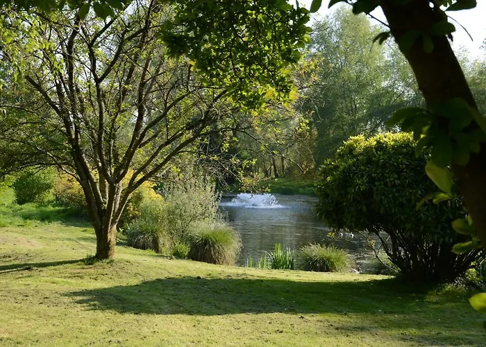 Le Jardin Sauvage Bed & Breakfast Maintenay